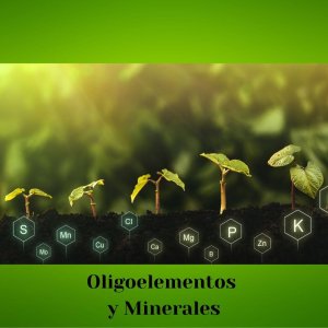Oligoelementos